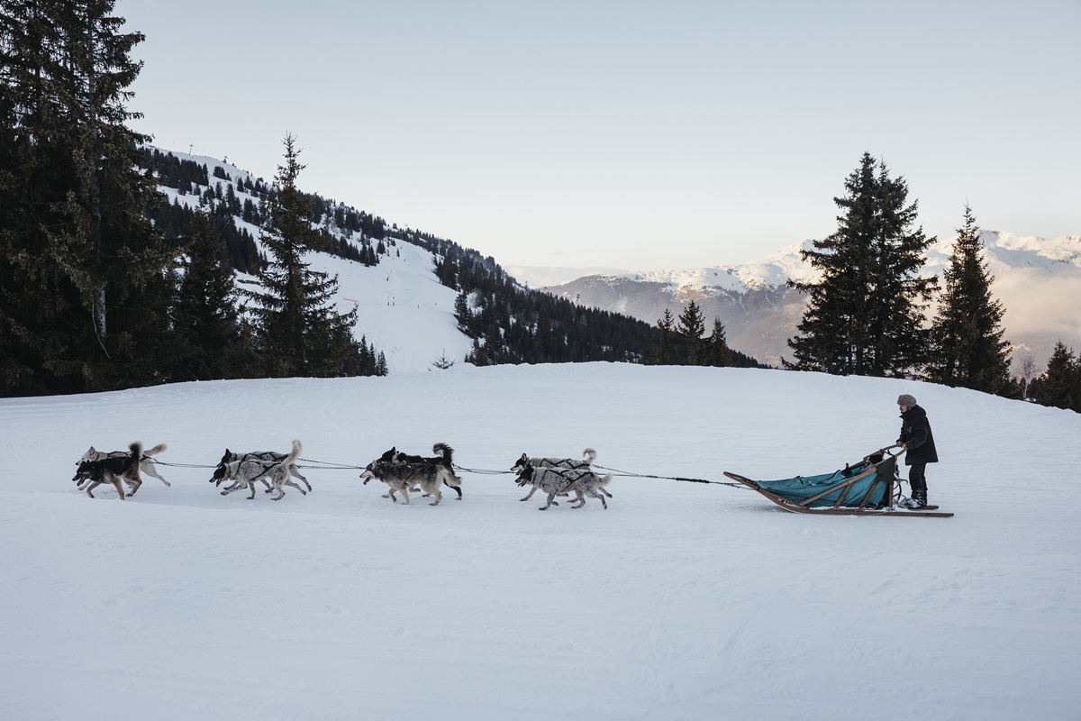 Aman Le Melezin - Experiences, Dog Sledding.tif