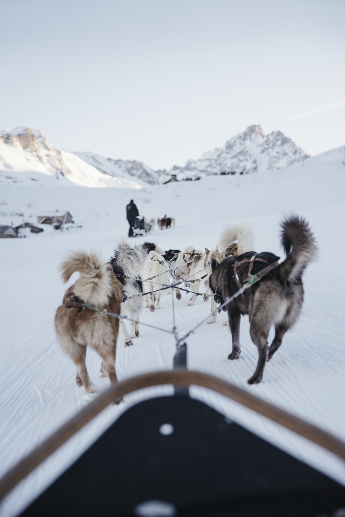 20251110-172003-Aman Le Melezin, France - Experiences - Dog Sledding.tif