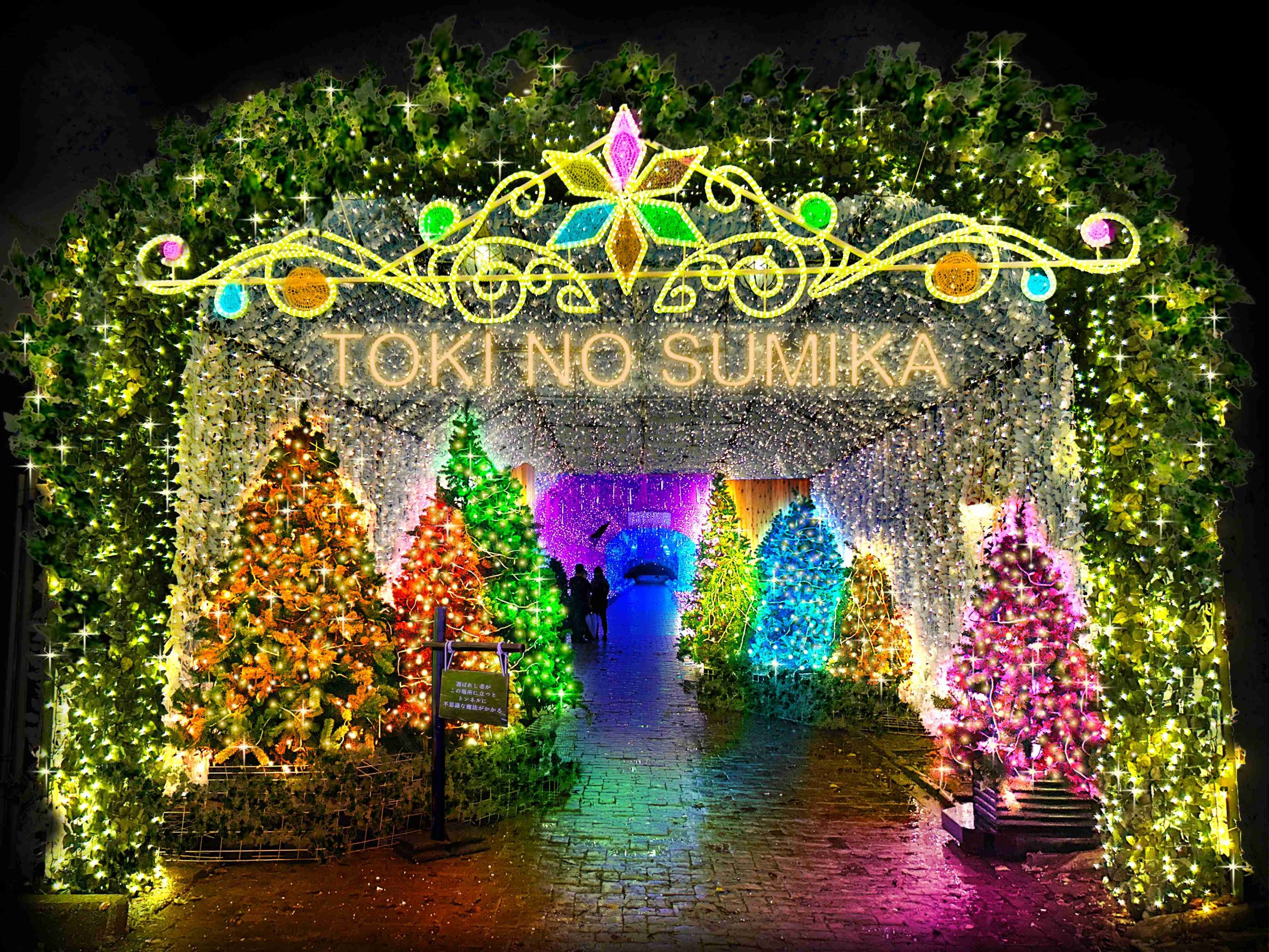 新聞附件(3)【起源之森】幻想世界的入口