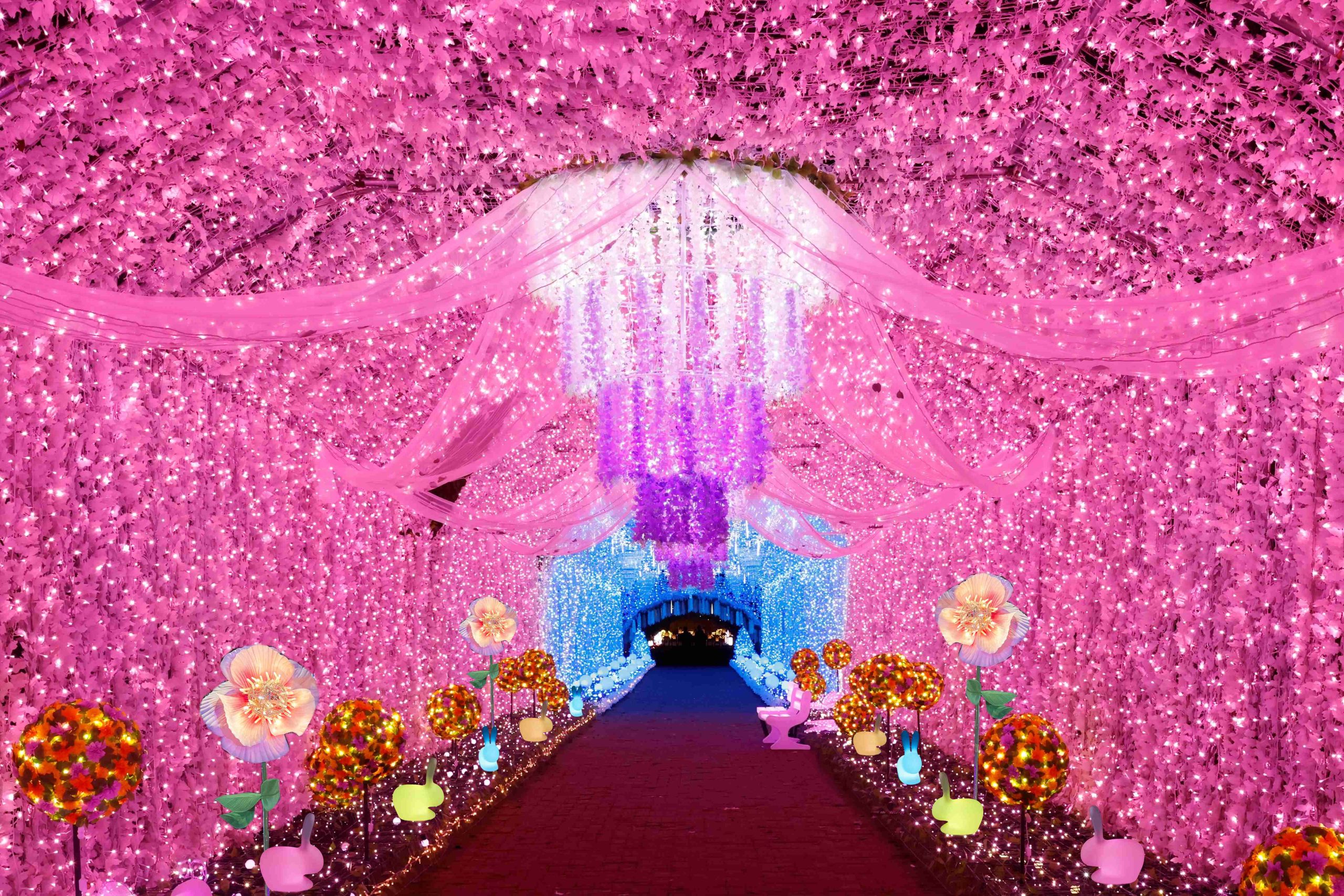 新聞附件(4)【夢幻之路】體驗歡欣舞動的粉紅花雨