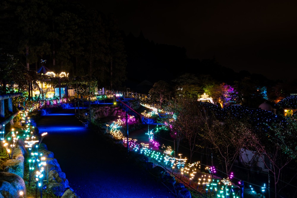 新聞附件(9)光之散步道 ※照片僅為示意圖