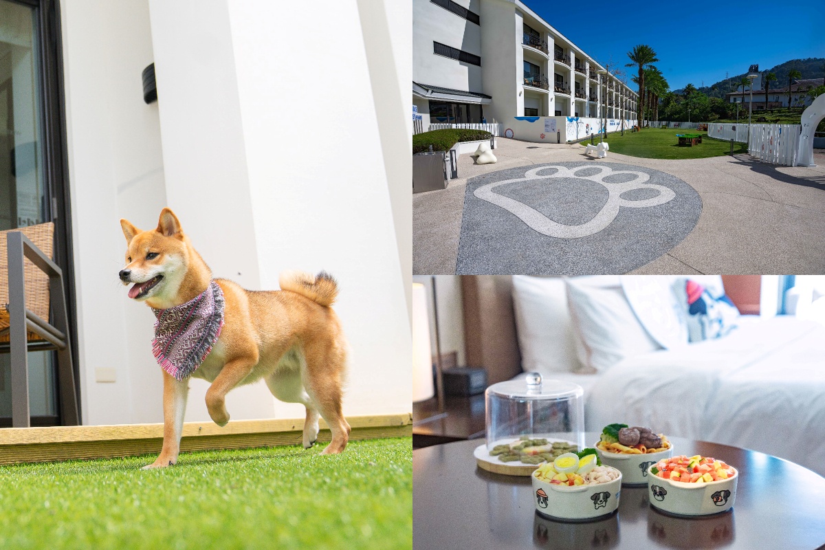 不用分開旅行！ 大溪笠復威斯汀打造北部飯店首座「毛孩樂園」實現人寵共好的奢華假期