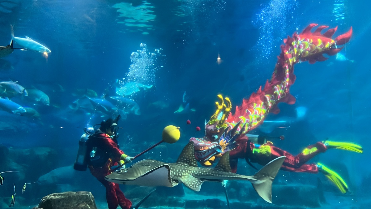 迎接2026農曆新春,遠雄海洋公園推出限定應景活動,從2月17日初一起至2月21日初五,邀請遊客一同熱鬧走春。