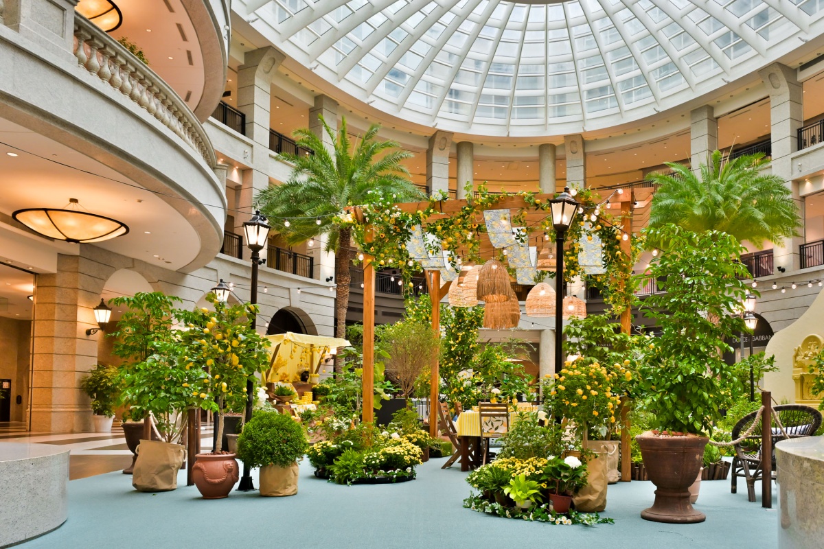 自即日起至5月10日止，BELLAVITA 以南義阿瑪菲海岸的檸檬小鎮為靈感，推出年度春日主題佈置「春日花境 GARDEN in Spring」，邀請每一位蒞臨的賓客，在信義區感受一場屬於春日的南歐漫遊。