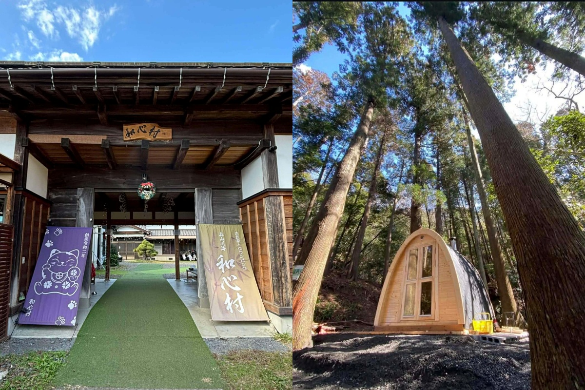 距離東京僅約一小時車程的千葉縣富津市，隱身著一座深受日本旅人喜愛、卻極少曝光的森林度假村-和心村Washinmura。隨著現在人喜愛的旅遊型態轉變為重視體驗深度與生活感，和心村以擁有世界首座CLT木構造樹屋為亮點，融合自然共生、動物陪伴與永續建築概念，創造森林療癒系旅宿的新趨勢。
