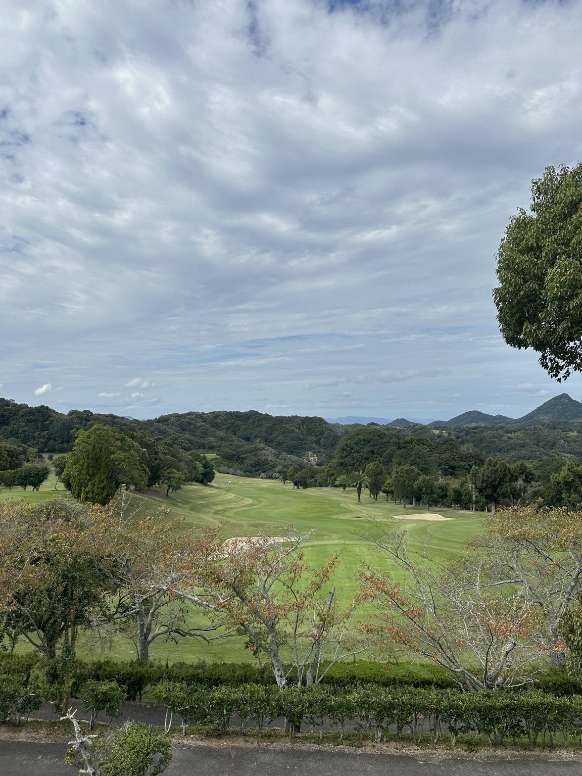 北条カントリー倶楽部|林木、沙坑與果嶺交織的丘陵景觀。